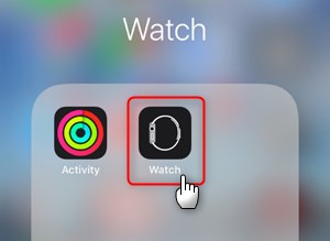 找到watch app