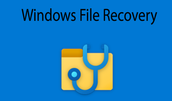 Windows File Recovery工具僅適用於 Windows 10 和 11